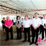 惠州市領導視察浩寧達智能電網—物聯(lián)網項目
